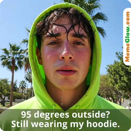 All seasons funny hoodie meme