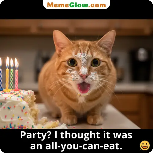 cake cat birthday meme