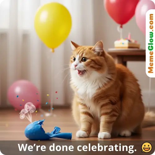 cat balloon birthday photo