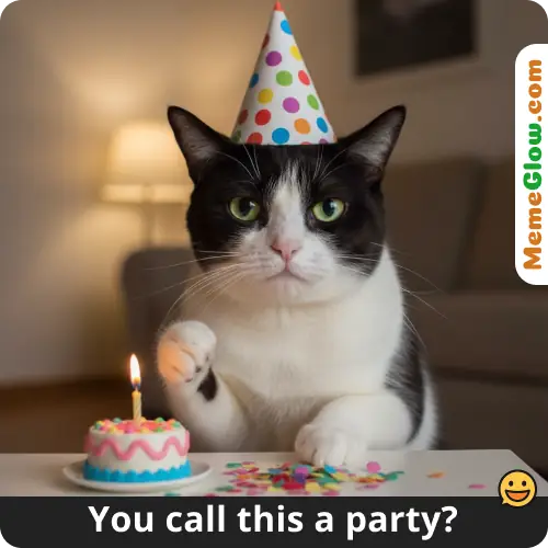 cat birthday meme