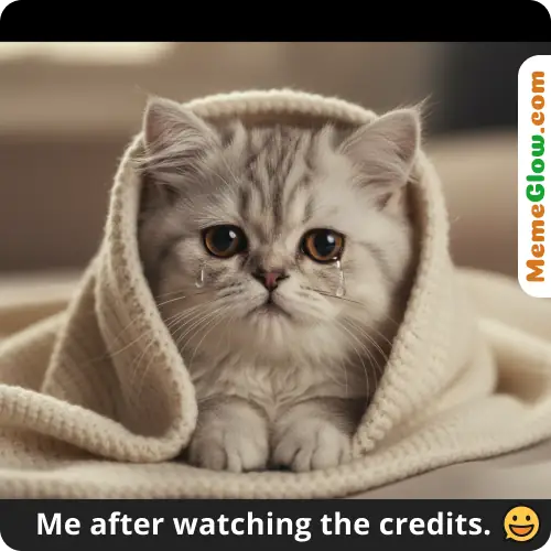 crying cat meme movie credits