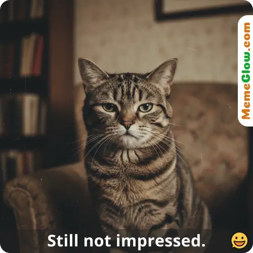 original grumpy cat meme